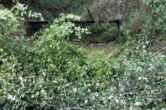 IMG-20190727-WA0002